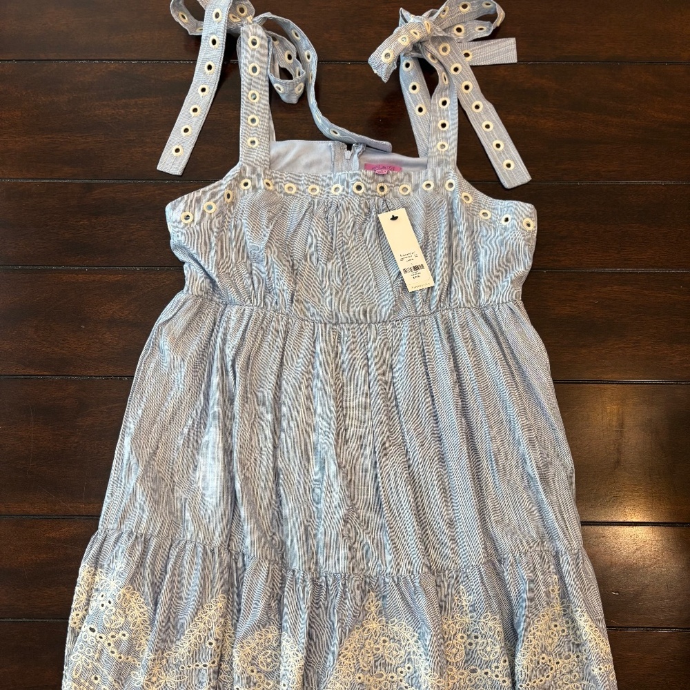 Francesca’s Dress